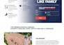 high converting elementor pro landing pages for affiliates